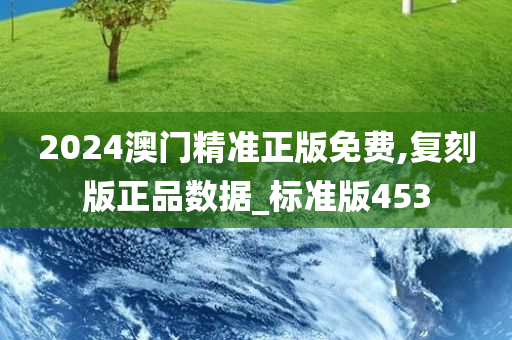 2024澳门精准正版免费,复刻版正品数据_标准版453