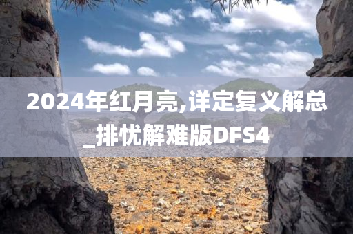 2024年红月亮,详定复义解总_排忧解难版DFS4