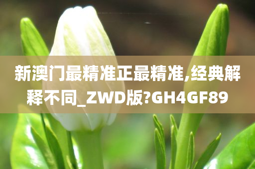 新澳门最精准正最精准,经典解释不同_ZWD版?GH4GF89