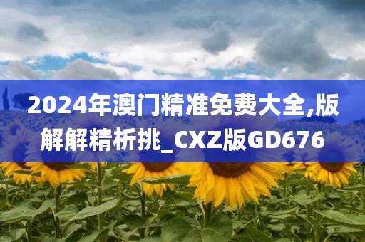 2024年澳门精准免费大全,版解解精析挑_CXZ版GD676