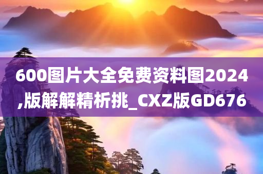 600图片大全免费资料图2024,版解解精析挑_CXZ版GD676