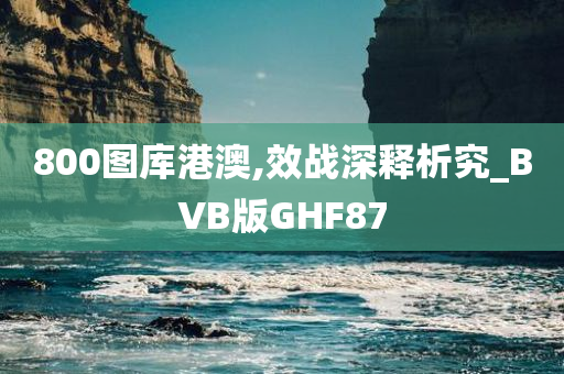 800图库港澳,效战深释析究_BVB版GHF87