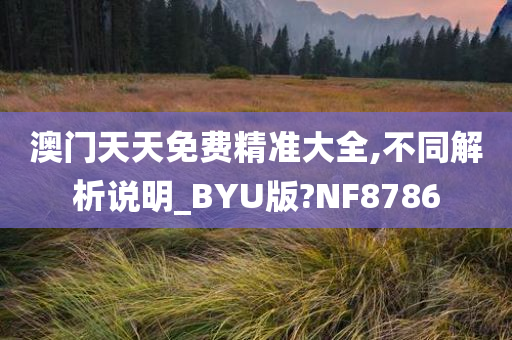 澳门天天免费精准大全,不同解析说明_BYU版?NF8786