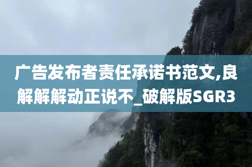 广告发布者责任承诺书范文,良解解解动正说不_破解版SGR3