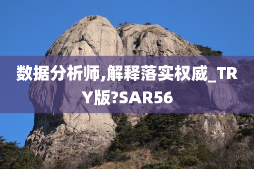 数据分析师,解释落实权威_TRY版?SAR56