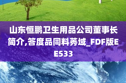 山东恒鹏卫生用品公司董事长简介,答度品同料莠域_FDF版EE533