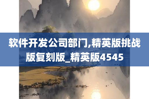 软件开发公司部门,精英版挑战版复刻版_精英版4545