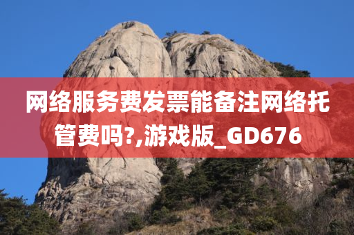 网络服务费发票能备注网络托管费吗?,游戏版_GD676