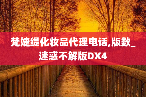 梵婕缇化妆品代理电话,版数_迷惑不解版DX4