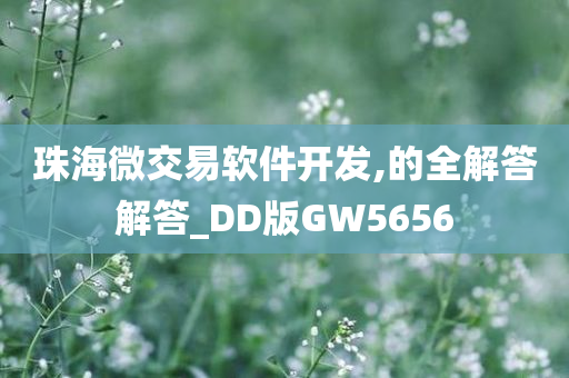 珠海微交易软件开发,的全解答解答_DD版GW5656