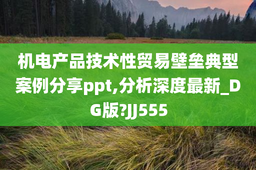 机电产品技术性贸易壁垒典型案例分享ppt,分析深度最新_DG版?JJ555