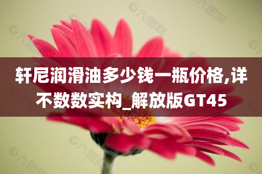 轩尼润滑油多少钱一瓶价格,详不数数实构_解放版GT45