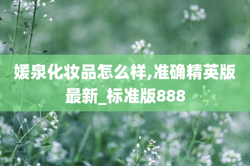 媛泉化妆品怎么样,准确精英版最新_标准版888