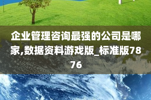 企业管理咨询最强的公司是哪家,数据资料游戏版_标准版7876