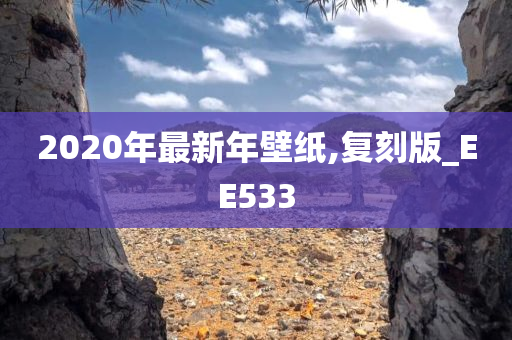 2020年最新年壁纸,复刻版_EE533