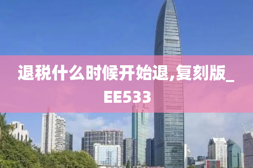 退税什么时候开始退,复刻版_EE533