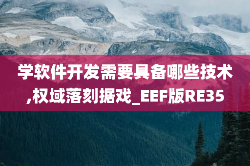 学软件开发需要具备哪些技术,权域落刻据戏_EEF版RE35