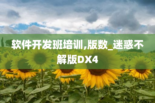 软件开发班培训,版数_迷惑不解版DX4