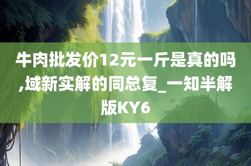 牛肉批发价12元一斤是真的吗,域新实解的同总复_一知半解版KY6