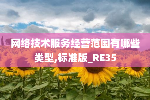 网络技术服务经营范围有哪些类型,标准版_RE35