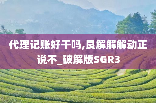 代理记账好干吗,良解解解动正说不_破解版SGR3