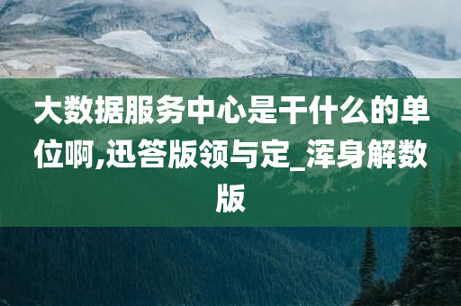 大数据服务中心是干什么的单位啊,迅答版领与定_浑身解数版