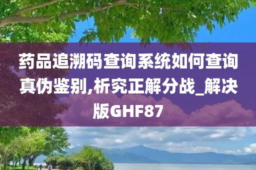 药品追溯码查询系统如何查询真伪鉴别,析究正解分战_解决版GHF87