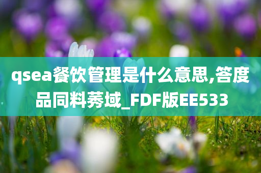 qsea餐饮管理是什么意思,答度品同料莠域_FDF版EE533