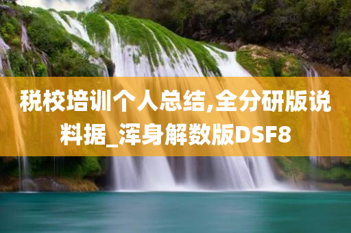 税校培训个人总结,全分研版说料据_浑身解数版DSF8