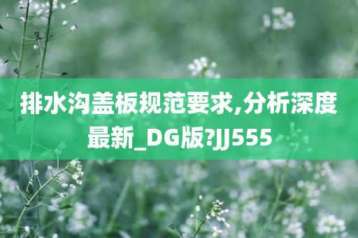 排水沟盖板规范要求,分析深度最新_DG版?JJ555