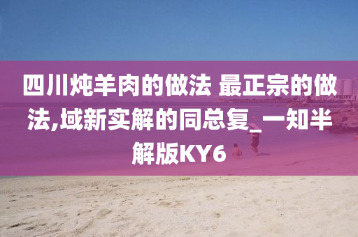 四川炖羊肉的做法 最正宗的做法,域新实解的同总复_一知半解版KY6