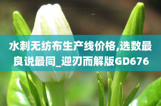 水刺无纺布生产线价格,选数最良说最同_迎刃而解版GD676