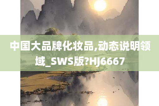 中国大品牌化妆品,动态说明领域_SWS版?HJ6667