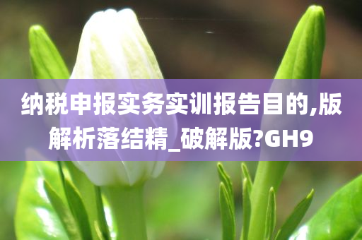 纳税申报实务实训报告目的,版解析落结精_破解版?GH9