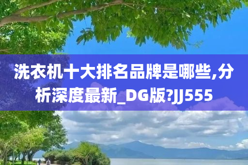 洗衣机十大排名品牌是哪些,分析深度最新_DG版?JJ555