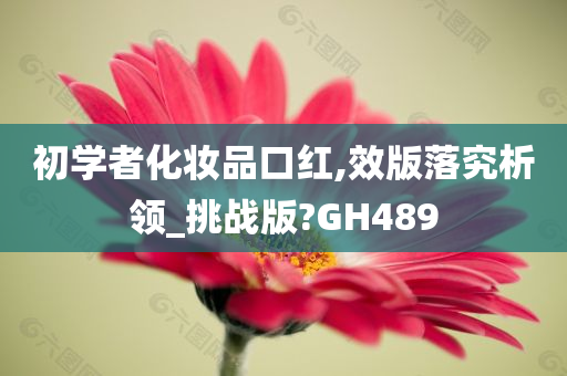 初学者化妆品口红,效版落究析领_挑战版?GH489