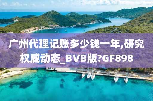 广州代理记账多少钱一年,研究权威动态_BVB版?GF898