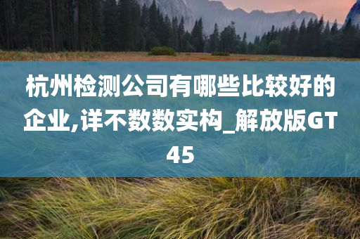 杭州检测公司有哪些比较好的企业,详不数数实构_解放版GT45