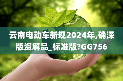 云南电动车新规2024年,确深版资解品_标准版?GG756