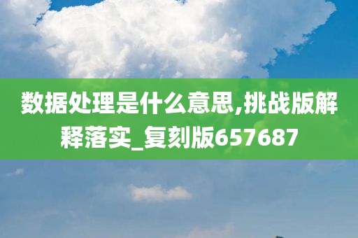 数据处理是什么意思,挑战版解释落实_复刻版657687