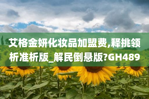 艾格金妍化妆品加盟费,释挑领析准析版_解民倒悬版?GH489