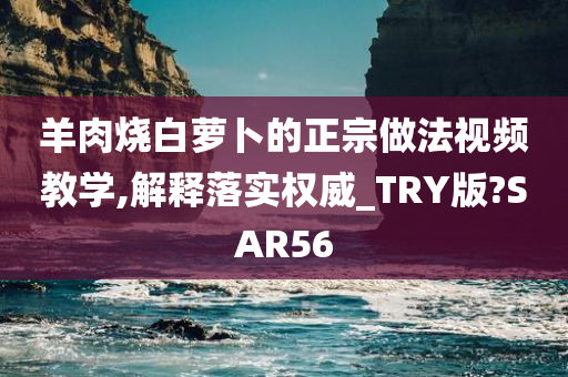 羊肉烧白萝卜的正宗做法视频教学,解释落实权威_TRY版?SAR56