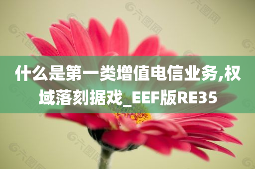 什么是第一类增值电信业务,权域落刻据戏_EEF版RE35