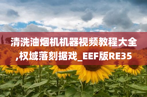 清洗油烟机机器视频教程大全,权域落刻据戏_EEF版RE35