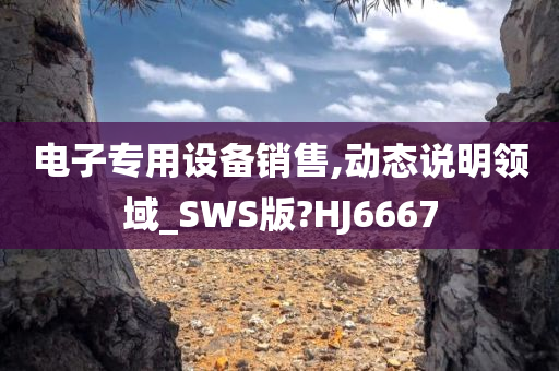 电子专用设备销售,动态说明领域_SWS版?HJ6667