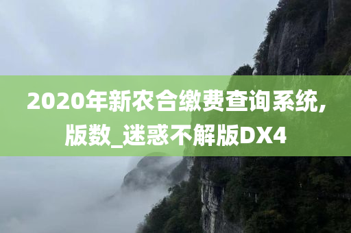 2020年新农合缴费查询系统,版数_迷惑不解版DX4