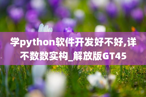 学python软件开发好不好,详不数数实构_解放版GT45