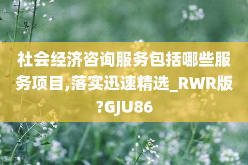 社会经济咨询服务包括哪些服务项目,落实迅速精选_RWR版?GJU86