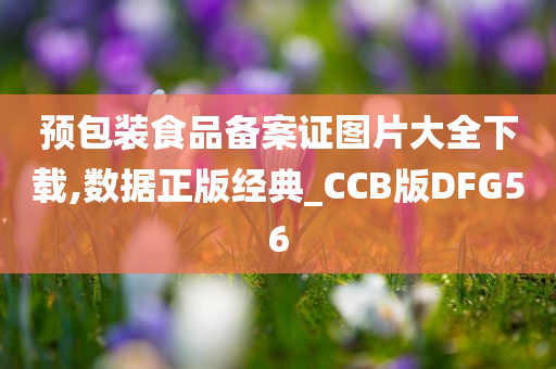 预包装食品备案证图片大全下载,数据正版经典_CCB版DFG56