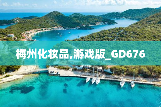 梅州化妆品,游戏版_GD676